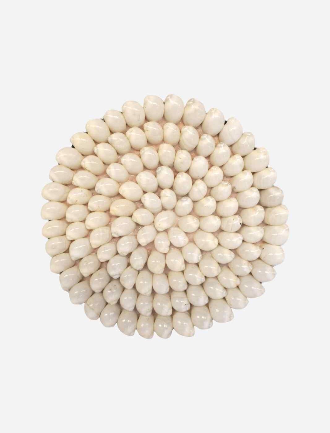 Onderzetter Shell Small