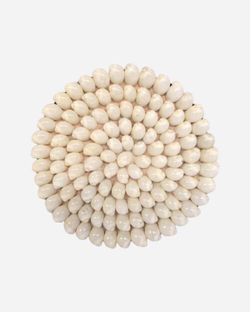 Onderzetter Shell