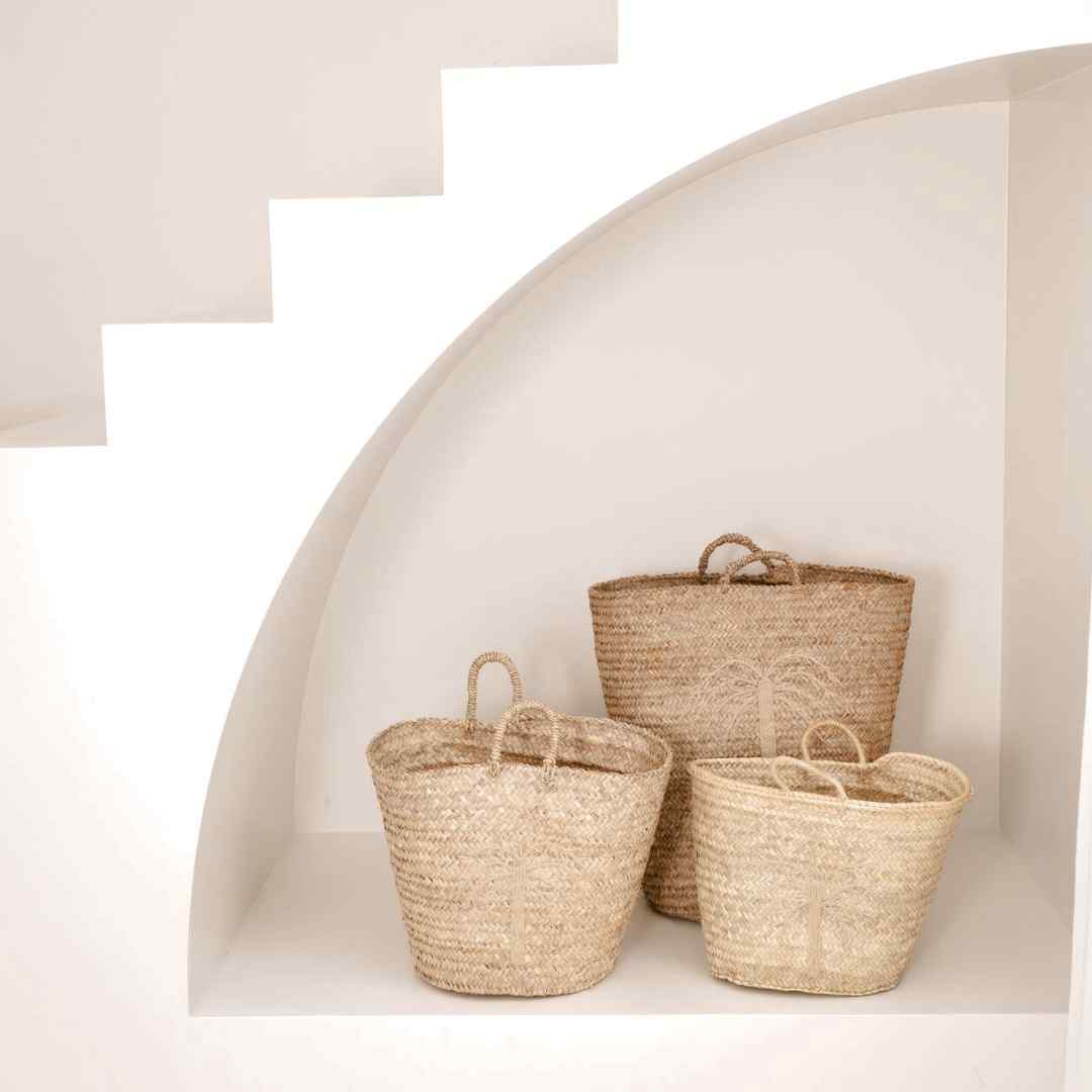 _Sfeerfoto Mand Palm