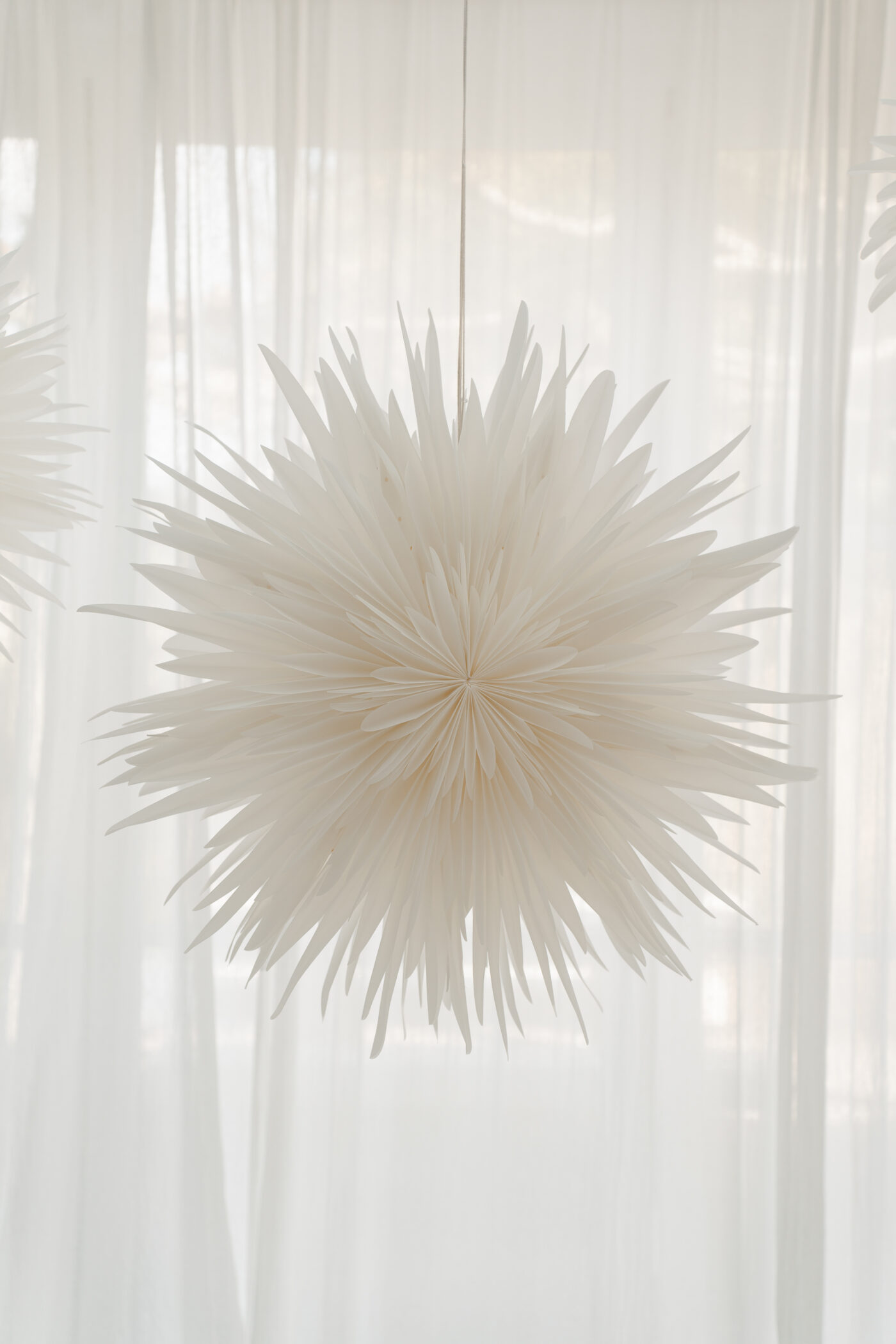 noamay.studioileve-3