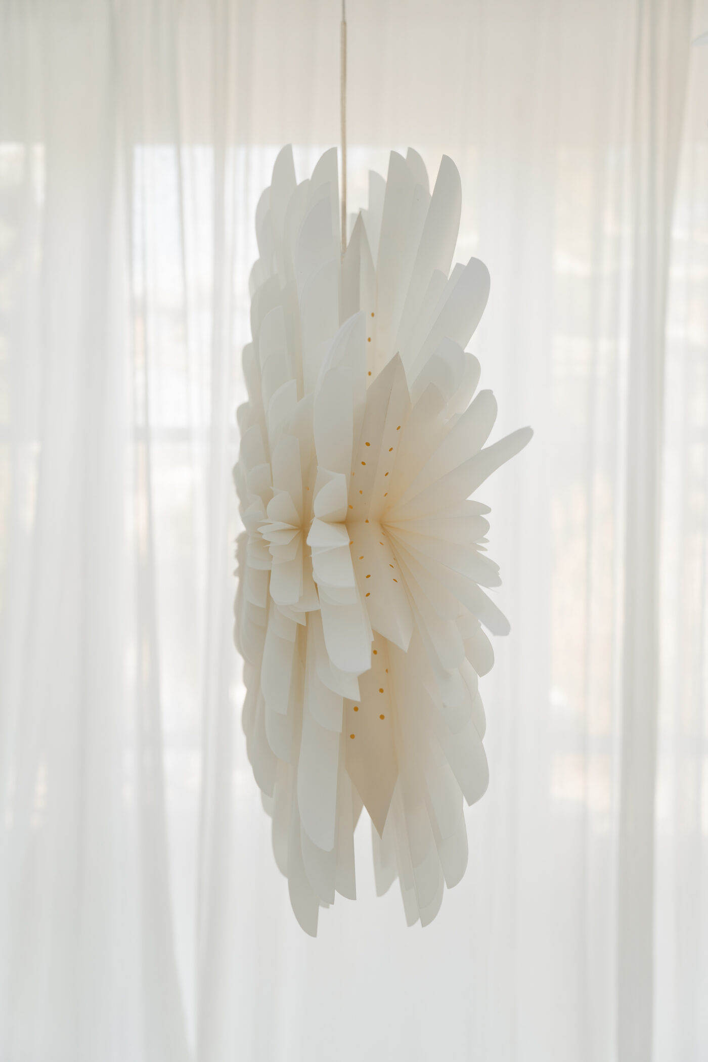 noamay.studioileve-4